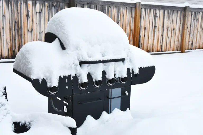 Vinterförvaring av grill
